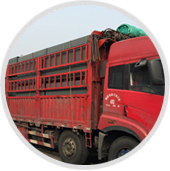 �ۺ�����a��